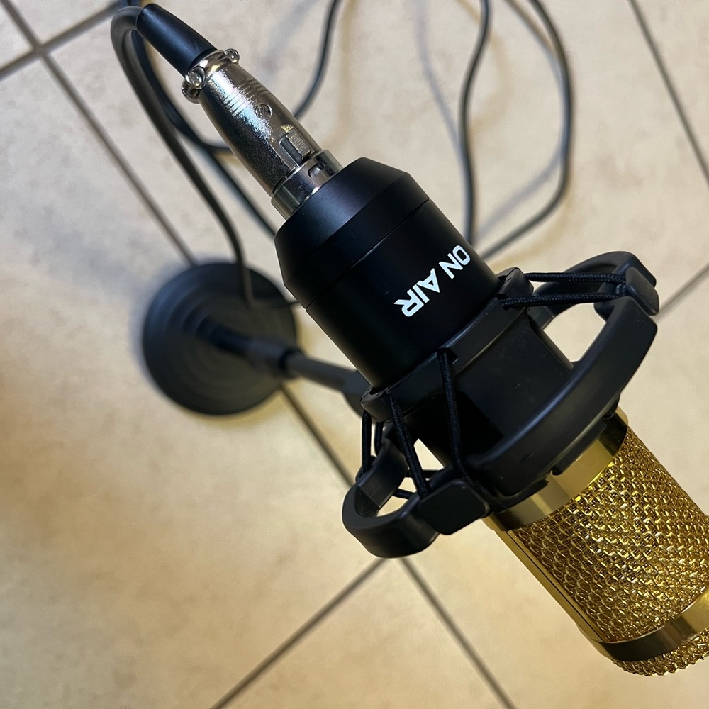Gold Microphone - Picture 4 of 6